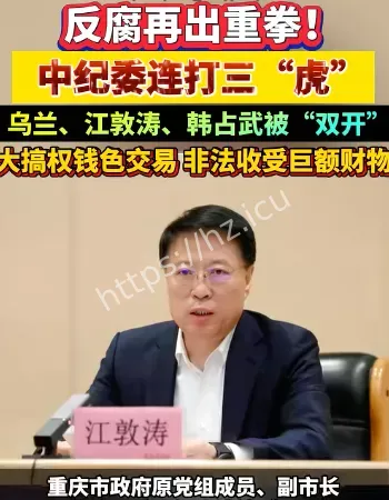 中纪委连打三虎